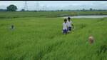 A still from Dostojee, winner of the Golden Shika Award at the Nara International Film Festival, Japan. A still from Dostojee, winner of the Golden Shika Award at the Nara International Film Festival, Japan.