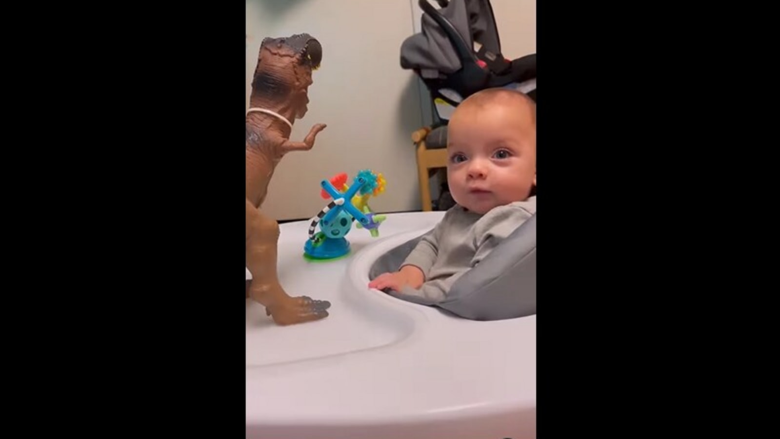 Toddler shows how to ‘roar’ like a dinosaur. Video is adorably