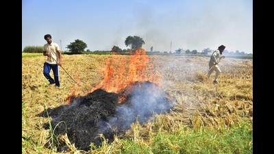 Farmers burn stubble after harvesting a paddy crop in a field in Amritsar. (Sameer Sehgal/HT) Farmers burn stubble after harvesting a paddy crop in a field in Amritsar. (Sameer Sehgal/HT)