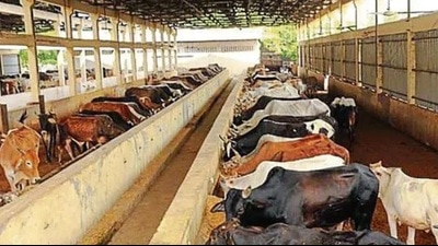 For representation only (HT File Photo)
