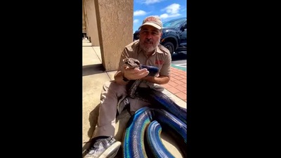 This zoo keeper was sitting with a snake. (Instagram/@jayprehistoricpets) This zoo keeper was sitting with a snake. (Instagram/@jayprehistoricpets)