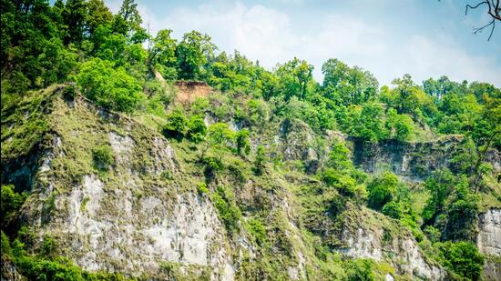 Bihar’s Valmiki Tiger Reserve (Shutterstock)