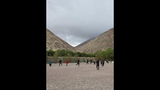 The field made of stones (Percy Bharucha) The field made of stones (Percy Bharucha)