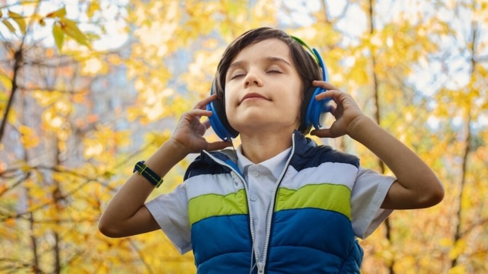 top headphones under rs 1,500