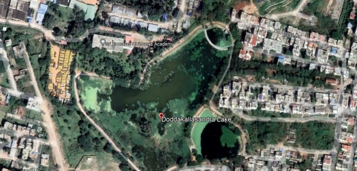 The Doddakallasandra lake, which is losing much of its biodiversity due to continued sewage flow. (Raghavendra B Pachhapur-Twitter) The Doddakallasandra lake, which is losing much of its biodiversity due to continued sewage flow. (Raghavendra B Pachhapur-Twitter)
