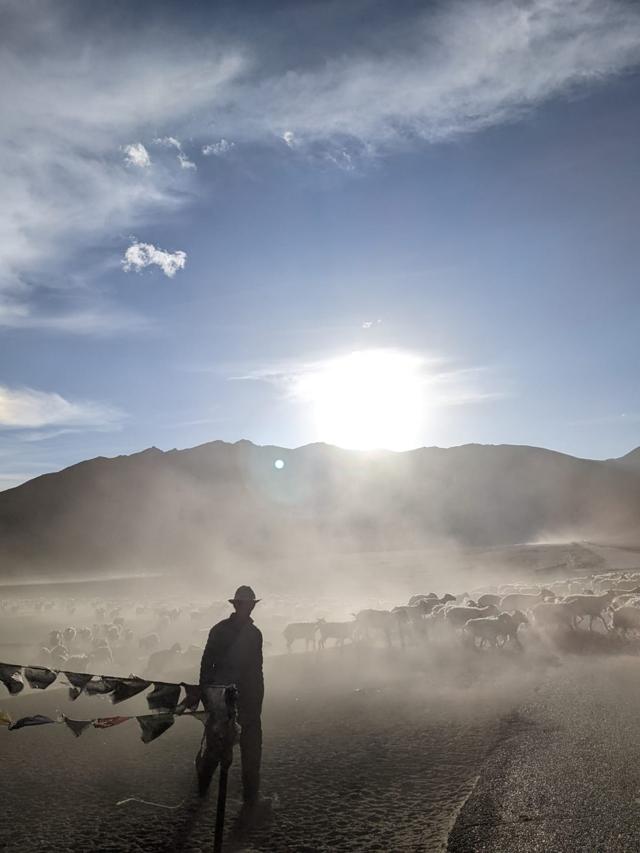 The goats coming home (Percy Bharucha) The goats coming home (Percy Bharucha)