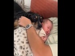 This dog was sleeping with the baby. This dog was sleeping with the baby.