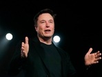 Tesla CEO Elon Musk (File)(AP) Tesla CEO Elon Musk (File)(AP)