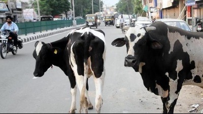 For representation only (HT File Photo) For representation only (HT File Photo)