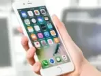 Vivo 3G mobile phones