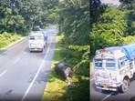 Assam: Rhino hit by a truck in Kaziranga.(Twitter / @himantabiswa) Assam: Rhino hit by a truck in Kaziranga.(Twitter / @himantabiswa)
