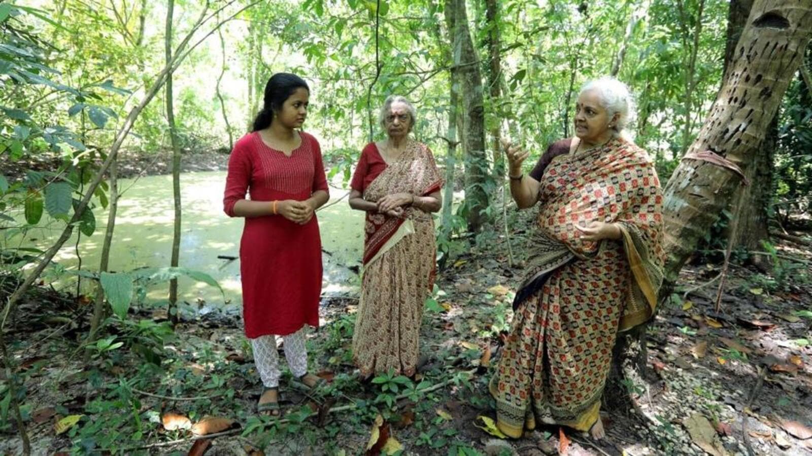 How 3 Generations Of A Family Developed Preserved A Lush Forest In how-3-generations-of-a-family-developed-preserved-a-lush-forest-in