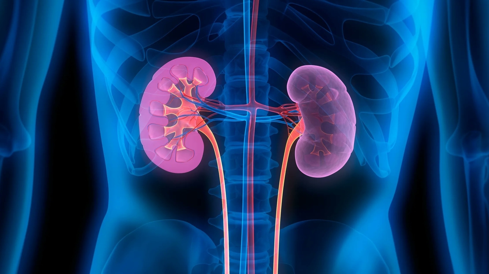 Why kidney issues are common in October; expert offers tips for healthy kidneys