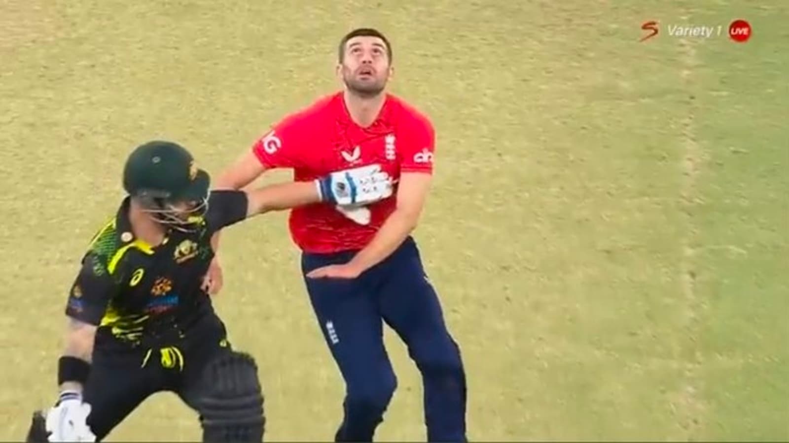 watch-wade-escapes-rare-obstructing-the-field-dismissal-after-impeding-bowler-mark-wood-s-attempt-to-take-catch