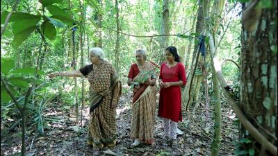 In Tapovanam — a mini man-made forest spread across five acres in Kandaloor in Alappuzha district — a post-graduate student is busy explaining a group of school children about the rich source of medicinal, exotic plants and rare trees in the area. (Vivek R Nair/HT Photo)