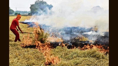 A farmer burns stubble after harvesting a paddy crop in a field near Tangra village, about 28 km from Amritsar, on Sunday. (AFP)