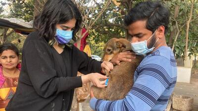 After making the northern sectors of Chandigarh a ‘puppy-free zone’, Peedu’s People, an NGO, has now once again worked with residents and the authorities to complete the project in the city’s Sector 37 in a bid to contain the population of stray dogs. (HT Photo) After making the northern sectors of Chandigarh a ‘puppy-free zone’, Peedu’s People, an NGO, has now once again worked with residents and the authorities to complete the project in the city’s Sector 37 in a bid to contain the population of stray dogs. (HT Photo)