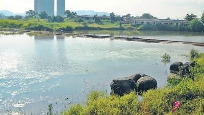 Kalyan , india- October 09 2022: Pic : Two 14 years old boys drowned to death in a Dombivli-based quarry on Sunday afternoon while they went out to play on their bicycles and then got into a quarry for swimming in Bhopar village of Dombivli ._ in India on Sunday 09 2022 (Photo by Pramod tambe /HT Photo) Kalyan , india- October 09 2022: Pic : Two 14 years old boys drowned to death in a Dombivli-based quarry on Sunday afternoon while they went out to play on their bicycles and then got into a quarry for swimming in Bhopar village of Dombivli ._ in India on Sunday 09 2022 (Photo by Pramod tambe /HT Photo)