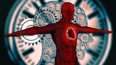 Ways to increase heart age and health (Image by Gerd Altmann from Pixabay ) Ways to increase heart age and health (Image by Gerd Altmann from Pixabay )
