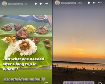 Anushka Sharma's Instagram Stories.