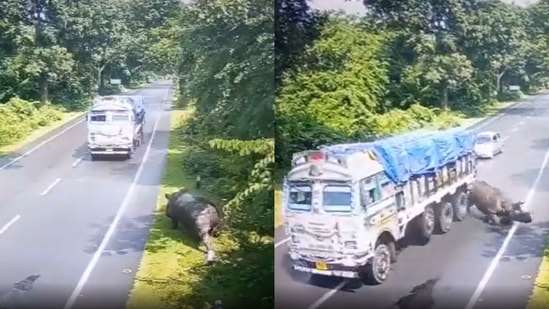 Assam: Rhino hit by a truck in Kaziranga.(Twitter / @himantabiswa)