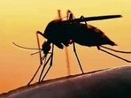 Kolkata records 2,800 dengue cases till October 5 this year. (Pic for representation)