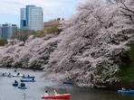 Japan reopens to tourists with shuttered souvenir shops, hotel staff shortage