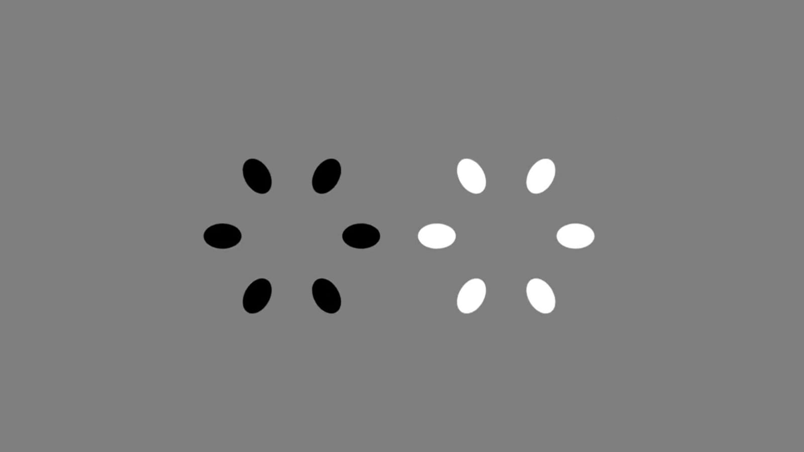 Optical illusion Which ring appears to rotate faster left or right