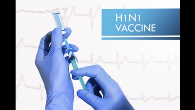 After claiming 205 lives in Maharashtra, swine flu cases are now reporting a decline, the state health department has confirmed. (REPRESENTATIVE IMAGE) After claiming 205 lives in Maharashtra, swine flu cases are now reporting a decline, the state health department has confirmed. (REPRESENTATIVE IMAGE)