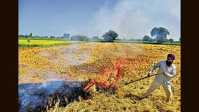 Air quality commission asks Haryana to reduce farm fires by 50 per cent Air quality commission asks Haryana to reduce farm fires by 50 per cent