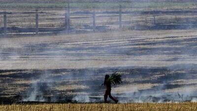 Despite the state government’s efforts to curb stubble burning, as many as 711 farm fires have been recorded in the state so far. Punjab Pollution Control Board (PPCB) chairperson Adarsh Pal Vig said that Ludhiana was among the districts worst-affected due to stubble burning in 2020 and 2021. (Harvinder Singh/HT) Despite the state government’s efforts to curb stubble burning, as many as 711 farm fires have been recorded in the state so far. Punjab Pollution Control Board (PPCB) chairperson Adarsh Pal Vig said that Ludhiana was among the districts worst-affected due to stubble burning in 2020 and 2021. (Harvinder Singh/HT)