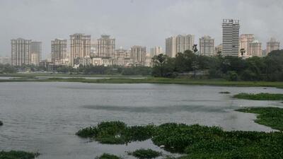Powai Lake in Mumbai is one of the naturally occurring wetlands. (HT PHOTO) Powai Lake in Mumbai is one of the naturally occurring wetlands. (HT PHOTO)