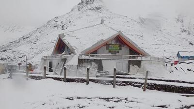 Sikh volunteers kept removing fresh snow from the Hemkund Sahib gurdwara premises for the convenience of devotees as the rituals preceding the closure started early on Monday. (ANI Photo)