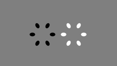 The image, taken from the optical illusion shared online, shows two rings rotating in the anti-clockwise direction. (Twitter/@Akiyoshi Kitaoka) The image, taken from the optical illusion shared online, shows two rings rotating in the anti-clockwise direction. (Twitter/@Akiyoshi Kitaoka)