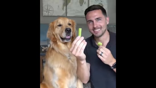 The Golden Retriever dog chooses between broccoli and celery. (Instagram/@elliegoldenlife) The Golden Retriever dog chooses between broccoli and celery. (Instagram/@elliegoldenlife)