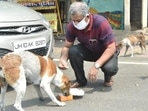 Named ‘Be A Streetheart’, the campaign aimed to show how responsible citizenship takes care of the safety needs of both dogs and the communities they are a part of. Named ‘Be A Streetheart’, the campaign aimed to show how responsible citizenship takes care of the safety needs of both dogs and the communities they are a part of.