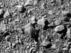 This picture provided by NASA shows the last complete image of asteroid moonlet Dimorphos, taken by the DRACO imager on NASA's Double Asteroid Redirection Test (DART) mission from approximately 7 miles (12 kilometers) from the asteroid and 2 seconds before impact. -(AFP)