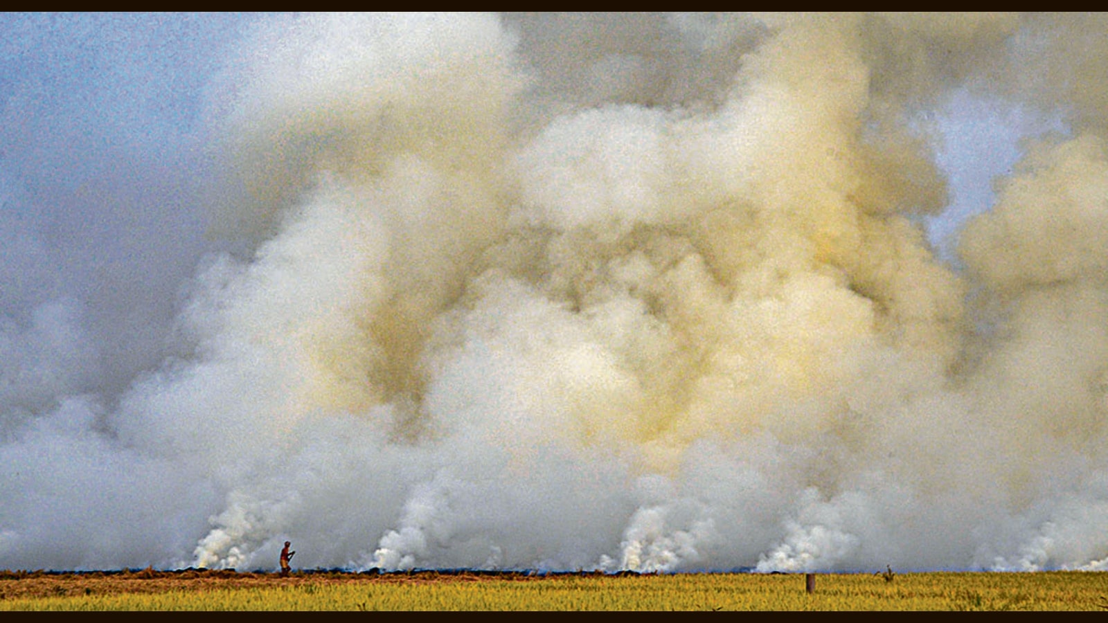 Farmers caught burning stubble to be dealt with an iron fist