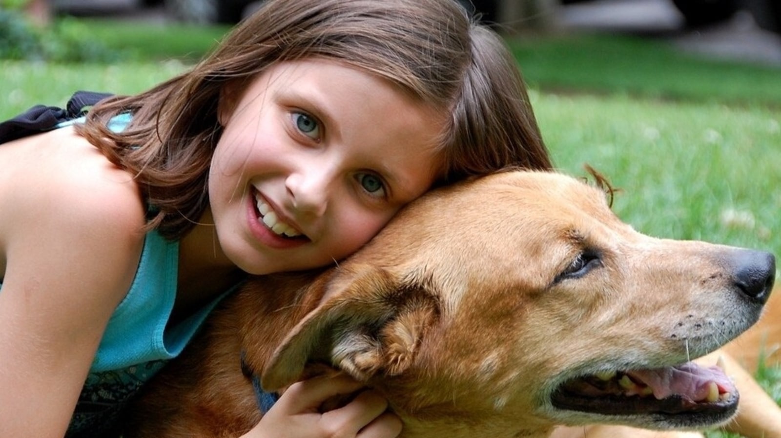 adorable dog,pet well being,spending time with dog,playtime with dog,stroll...