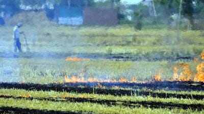 To dissuade farmers from stubble burning, the Moga administration has announced to cancel the arms’ licence of those caught engaging in the menace. (HT File)
