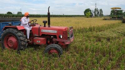 The moisture levels in ready-to-cut paddy crop in Punjab went up to 50% following Tuesday’s downpour, further pushing the harvest and procurement schedule. Due to this, wheat sowing may also be postponed. (Bloomberg) The moisture levels in ready-to-cut paddy crop in Punjab went up to 50% following Tuesday’s downpour, further pushing the harvest and procurement schedule. Due to this, wheat sowing may also be postponed. (Bloomberg)