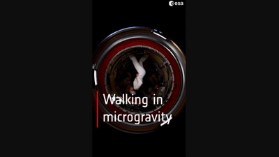 The image, taken from the video shared on Instagram by the European Space Agency, shows astronaut Samantha Cristoforetti walking in microgravity. (Instagram/@europeanspaceagency)