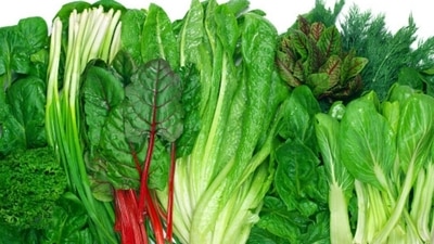Magnesium is an important nutrient for enhancing learning and memory. Food items such as green leafy vegetables, buts and milk are rich in magnesium. (Unsplash) Magnesium is an important nutrient for enhancing learning and memory. Food items such as green leafy vegetables, buts and milk are rich in magnesium. (Unsplash)