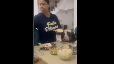 The woman was seen making ghee roti for her dog. (Instagram/@jaya_pandey3)