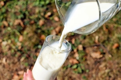 Cow milk (Pixabay) Cow milk (Pixabay)