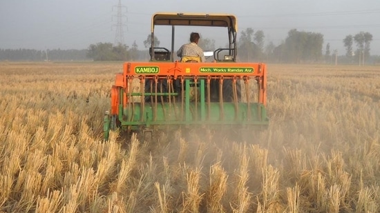 Punjab has already logged 545 farm fires till October 5 this season. (HT Photo)