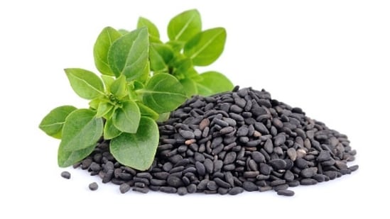 Basil seeds are rich in polyphenols and omega-3 fatty acids, which help in managing neuro inflammation, thereby preventing cognitive decline.(Unsplash)