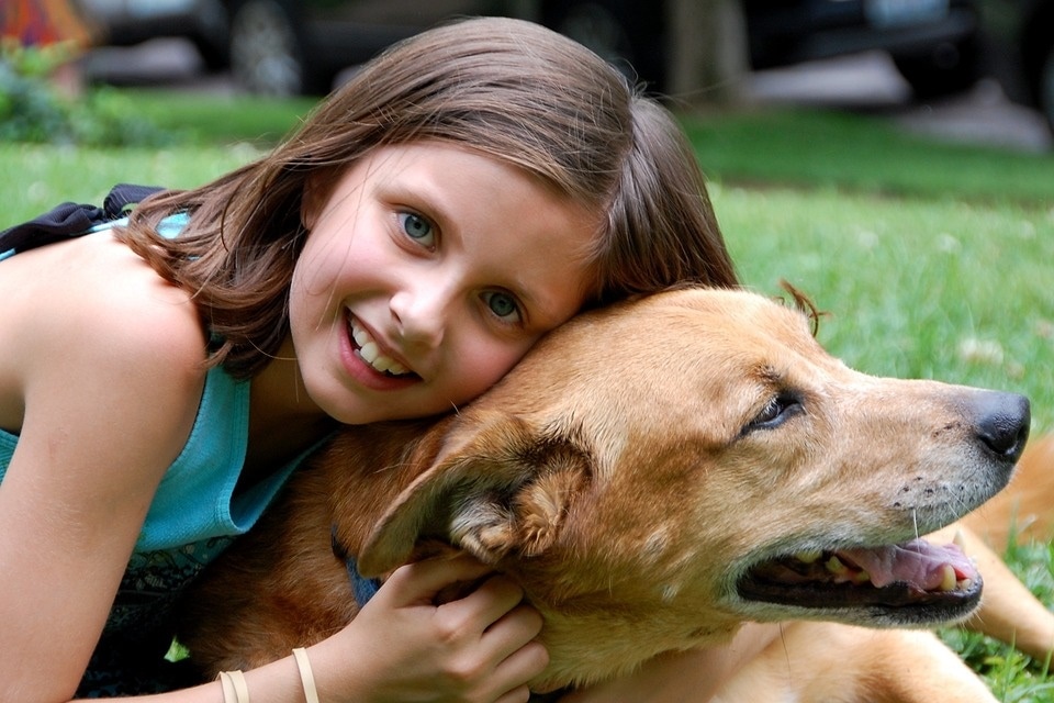 A happy pooch would wag the tail, look you in the eye and obey the rules set by you (Pixabay) A happy pooch would wag the tail, look you in the eye and obey the rules set by you (Pixabay)