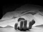 Rajasthan: Eight people were killed in separate road accidents in Rajasthan.