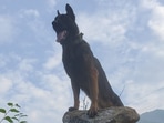 Zoom is a highly trained, ferocious, and committed canine.(@ChinarcorpsIA) Zoom is a highly trained, ferocious, and committed canine.(@ChinarcorpsIA)